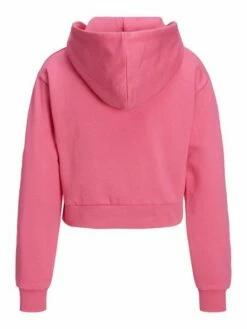 JJXX Damen Kapuzenpullover JXABBIE EVERY ZIP HOOD - Regular Fit -JEANS DIRECT Verkäufe 48446 jj 4113395 back 1